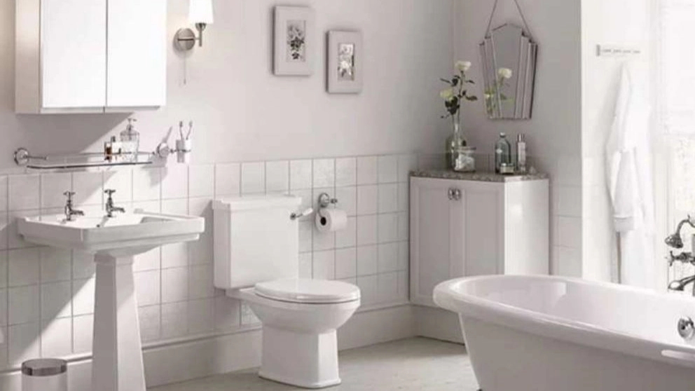 What is sanitary porcelain?