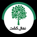 Production and sale of transplanted seedlings by Engineer Amir Nasrati in Miandoab