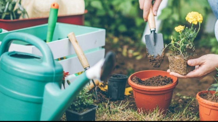 Agricultural tools