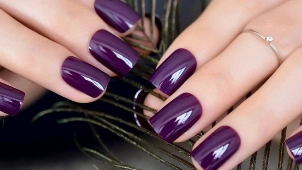 Nail transplant by Mahsa Safari, nail transplant training in Majidieh, Tehran