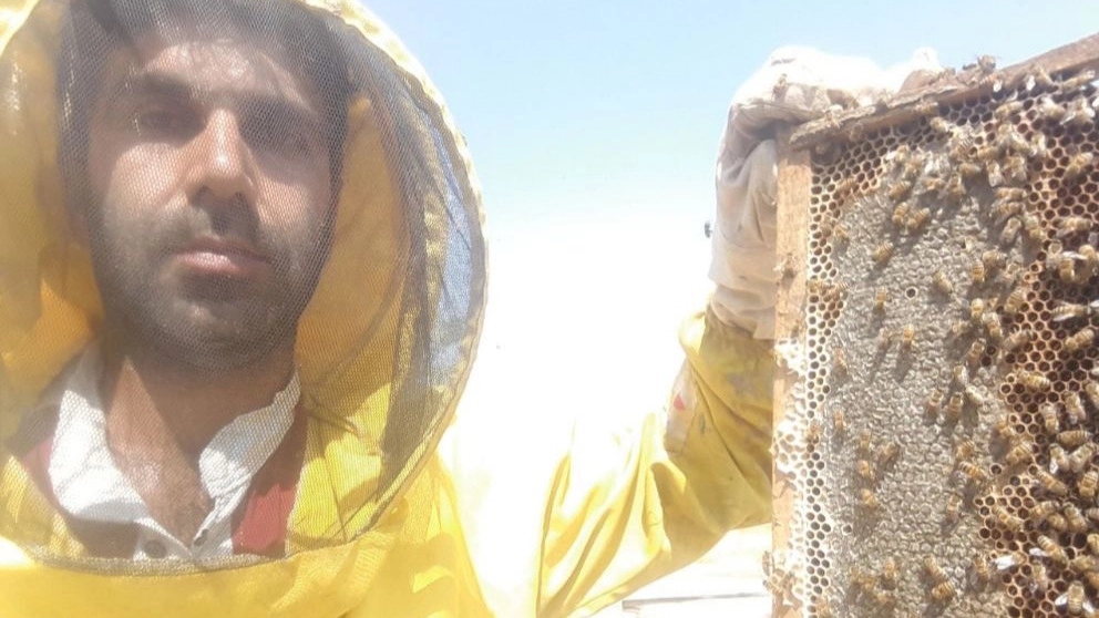 Imaginary natural honey, production and sale of natural honey, royal gel pollen and beehive in Tabriz