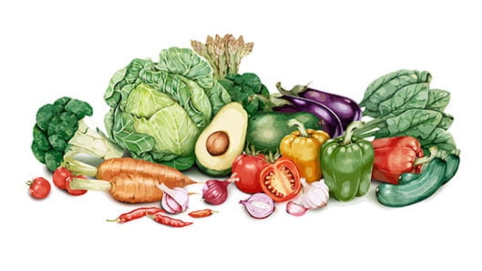 Marini summer vegetables, sale of all kinds of cabbage and bell pepper summer vegetables in Khuzestan, Behbahan