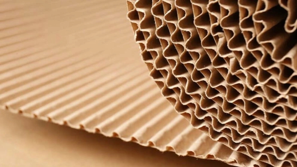 What are the types of cardboard sheets?