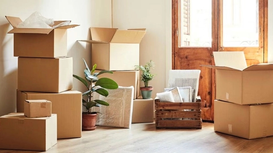 Cardboard box