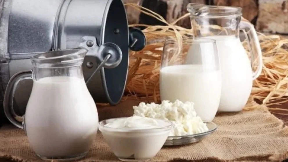 Types of dairy and dairy products that you should know