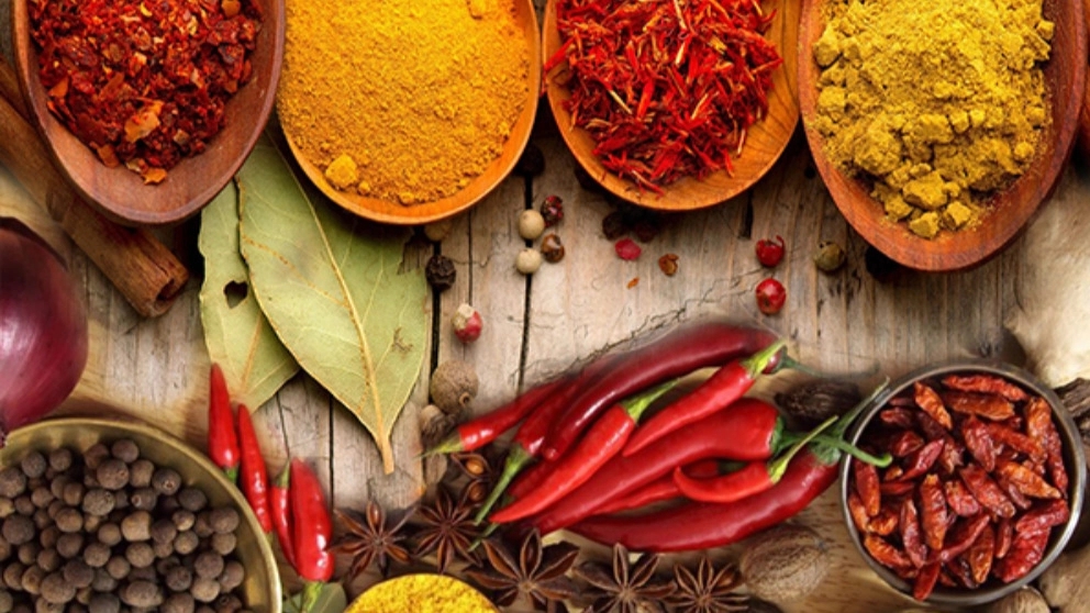 Sale and distribution of medicinal plants of Seyed Ali Mirzaei in Golestan