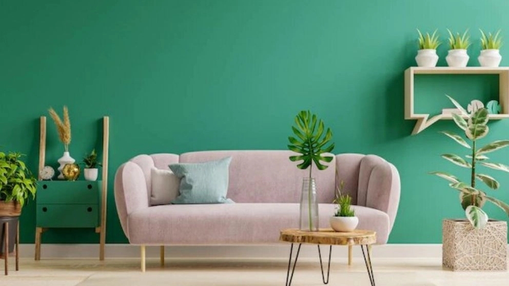 Amourg Decor, construction and interior decoration clinic in Qazvin
