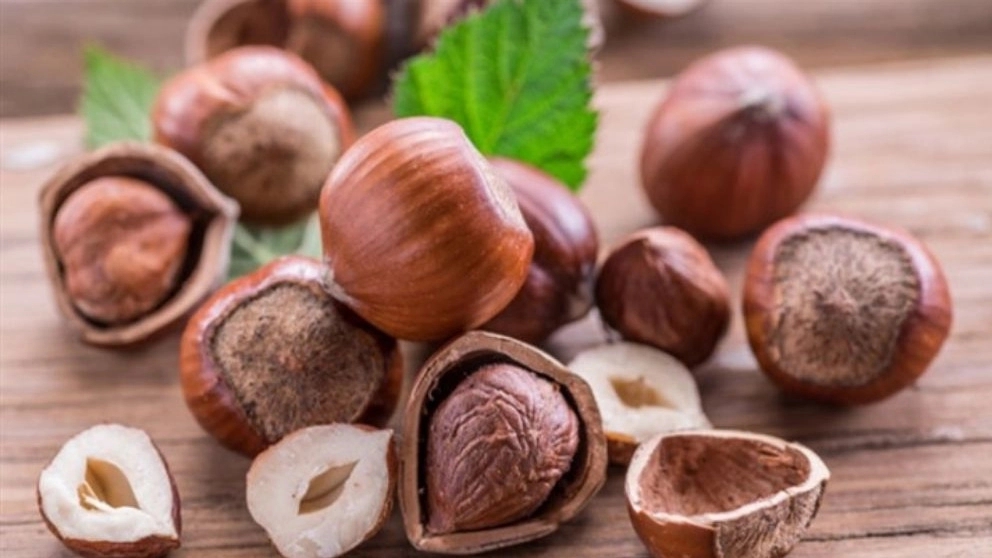بررسی 4 نوع خشکبار معروف
