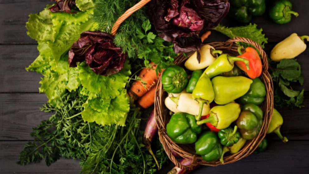 Local and organic products in Rasht