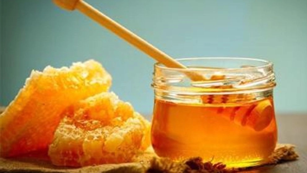 Kausi honey production and sale of organic and original honey in Khuzestan