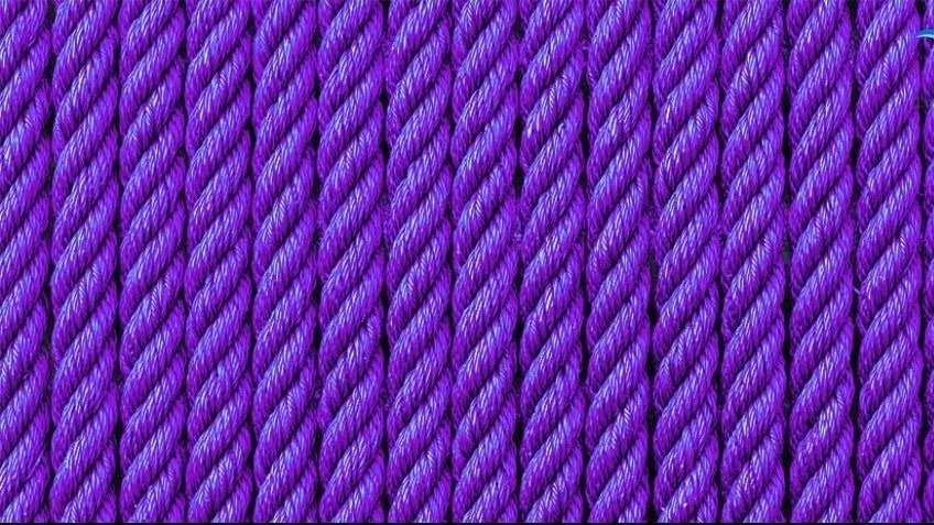 Major distribution of agricultural rope in Zanjan