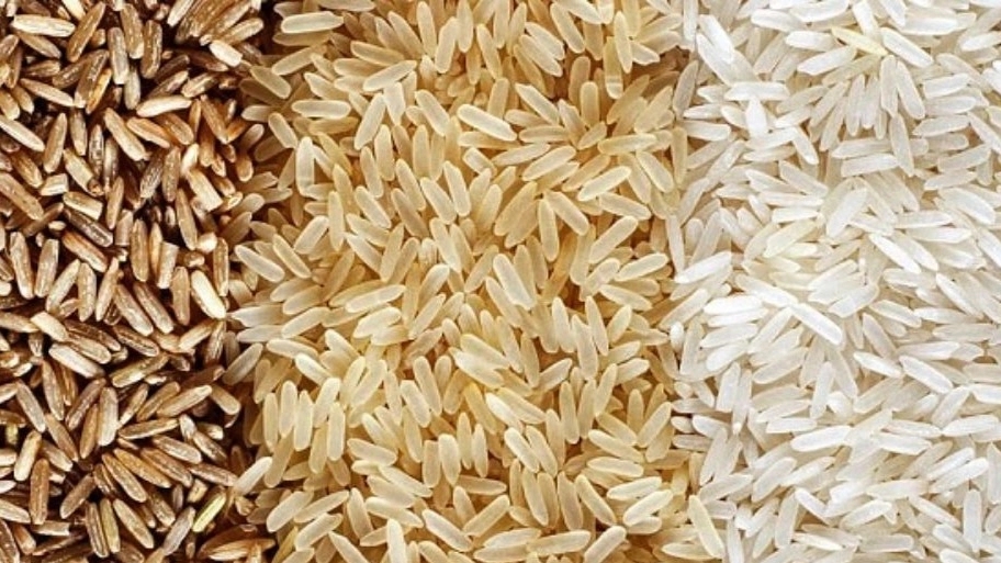 Identifying the best Iranian rice