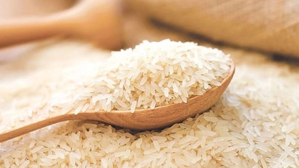 Northern rice sells Hashemi Tarem rice in Qaemshahr