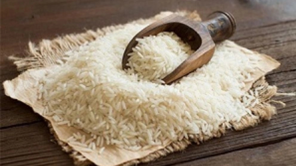 تفاوت برنج هاشمی و طارم
