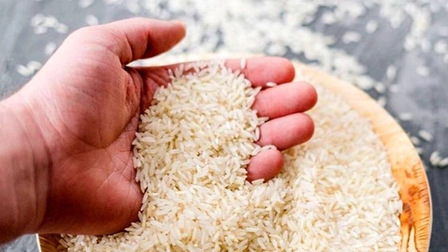 Tamisheh Golestan rice, selling Tarem Hashemi rice in Golestan Kordkoi
