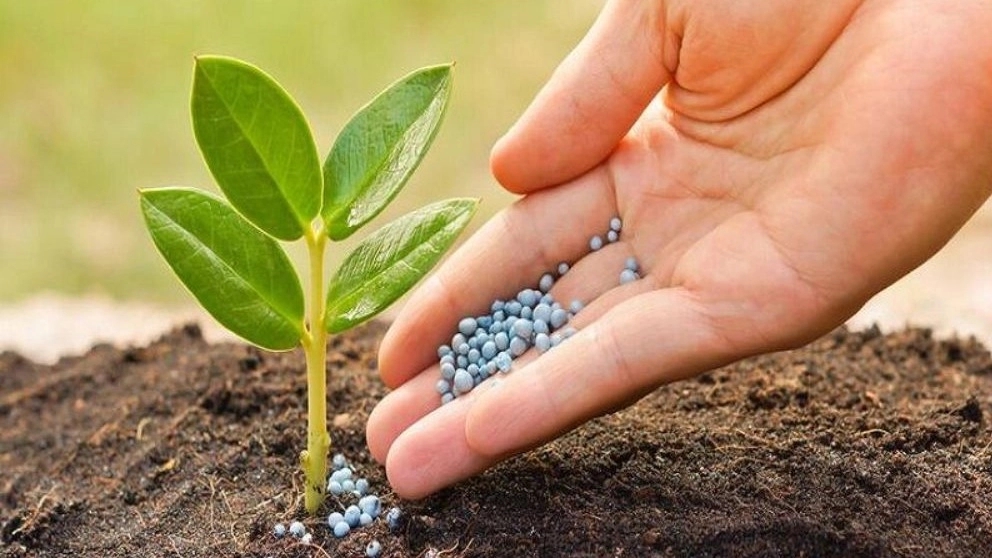 Kimia Zagros, production of sulfuric acid and sulfate fertilizers in Bojnord