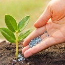 Kimia Zagros, production of sulfuric acid and sulfate fertilizers in Bojnord