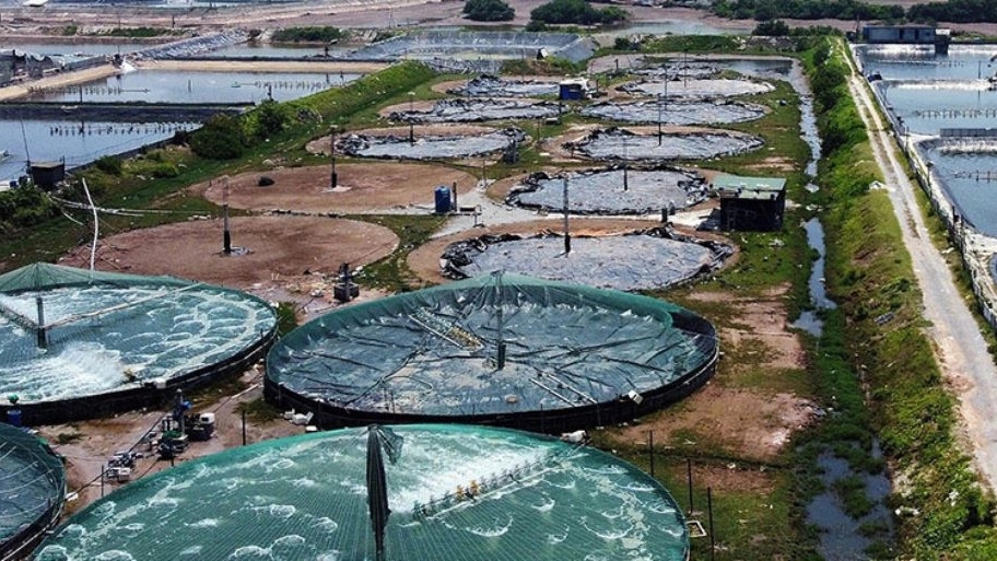 veneer, repairs and equipment for shrimp breeding in Selah Abad Bushehr
