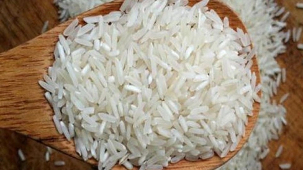 خصوصیات و ویژگی های برنج فجر
