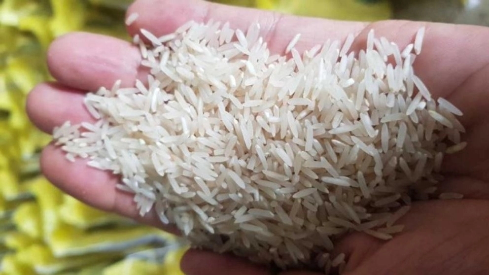 خصوصیات و ویژگی های برنج فجر