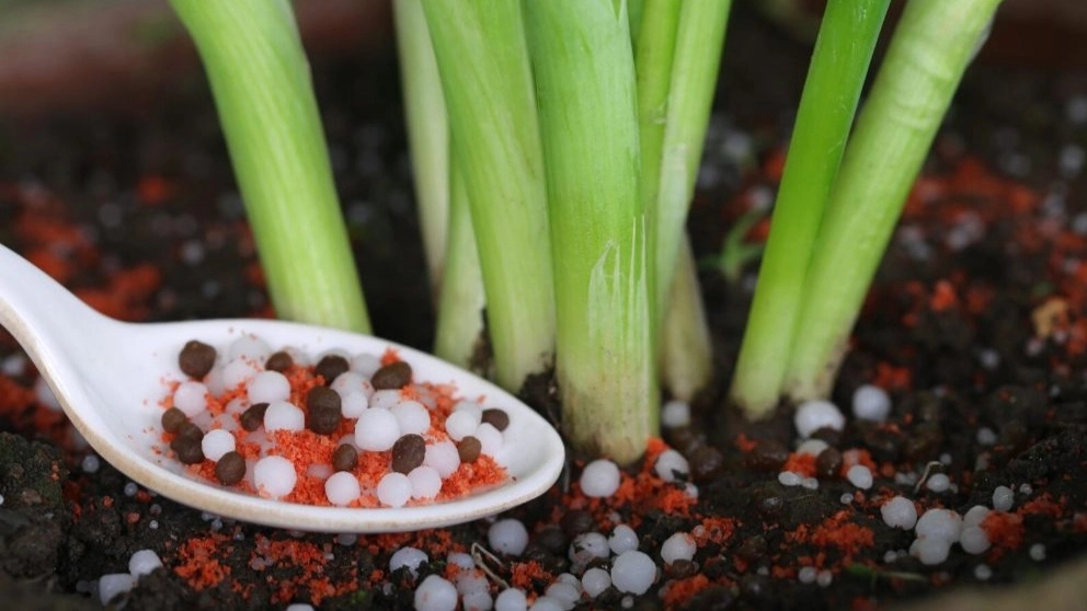 Hosseini Agricultural Holding nationwide distributor of fertilizers and agricultural tools in Tehran