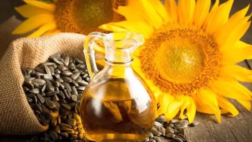 Hikmat, oil and buttering of all kinds of nuts and seeds in Rasht