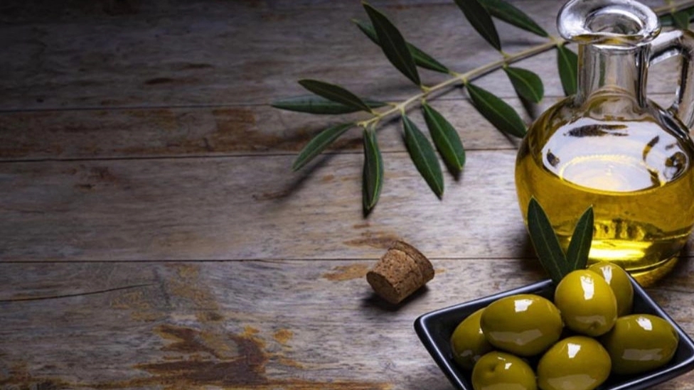 Medicinal and therapeutic benefits of olive oil for the body