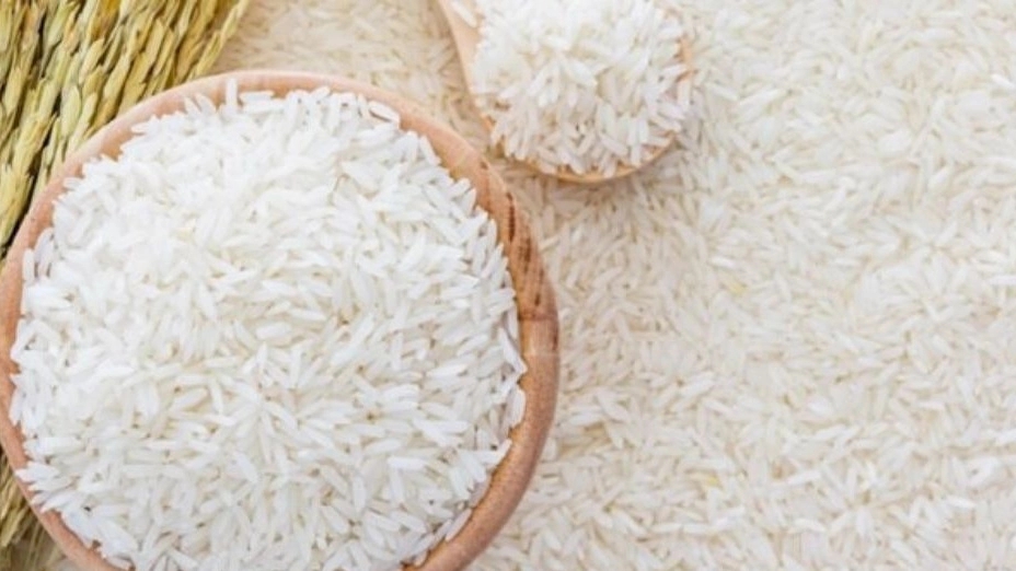 Khodadadi rice, sale of Fajr black tail rice in Aliabad, Golestan