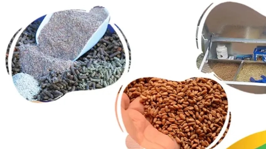 The best horse feed