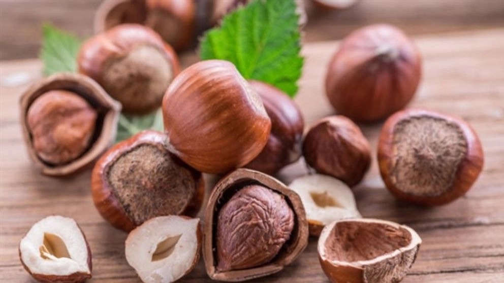 خشکبار چیست و به چه محصولاتی خشکبار می‌گوییم؟