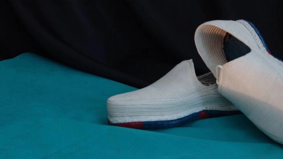 What is a shoe and what are its types?
