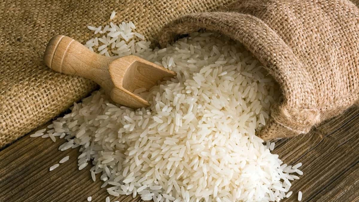 Qezal Sevali rice, production and sale of black tail and Fajr rice in Minodasht, Golestan