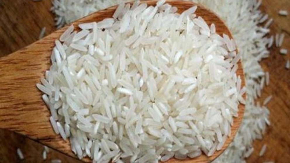 خصوصیات و ویژگی های برنج فجر
