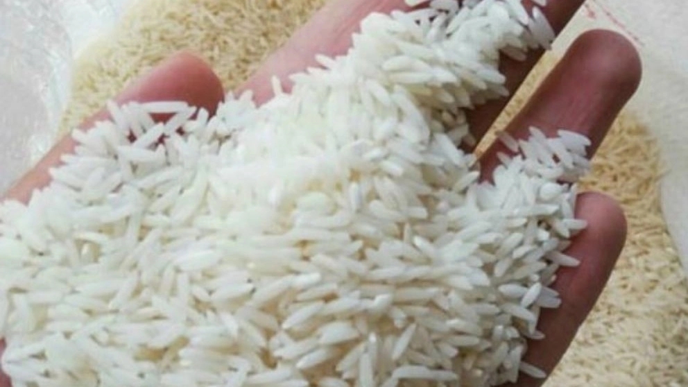 خصوصیات و ویژگی های برنج فجر