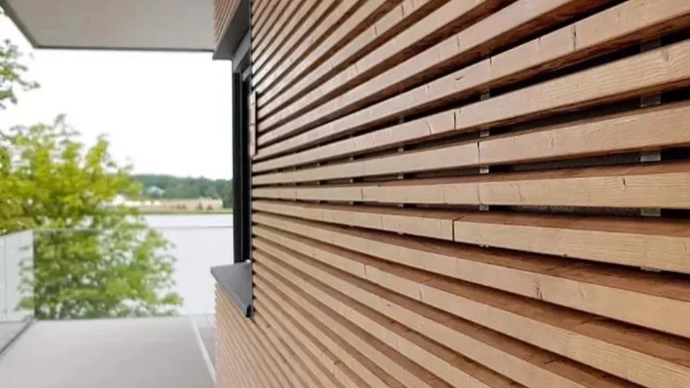 The unique features of Termwood