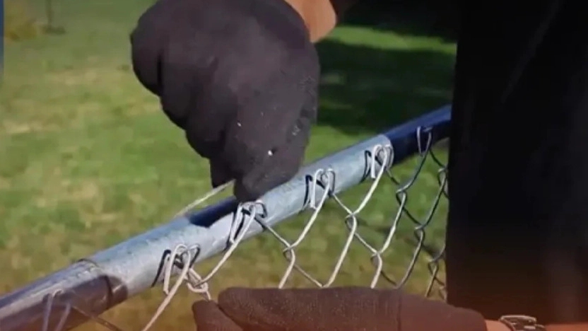 What is fence netting and what are its types?