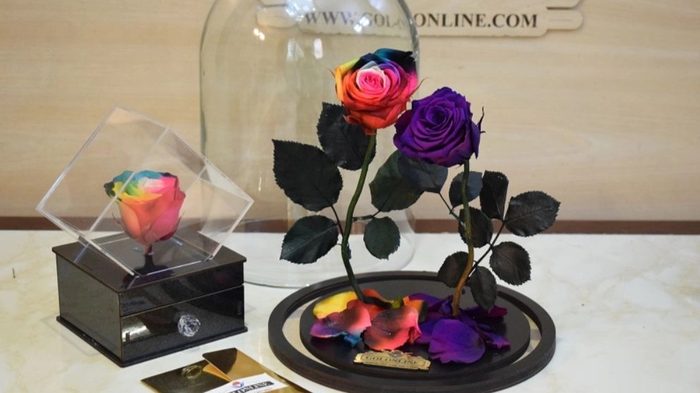 Eternal rose