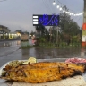 بيت كباب فؤاد في أستانا