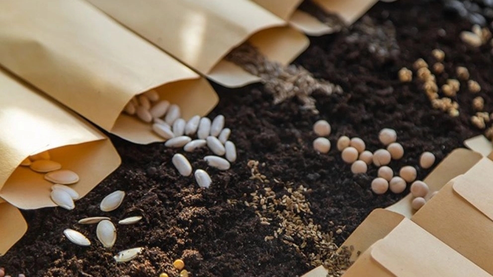 How to recognize good seeds?