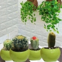 Production and sale of green space implementation of my greenhouse in Birjand