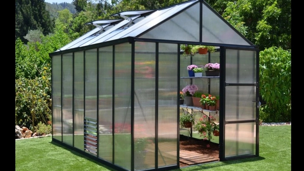 Important tips for better plant growth in the greenhouse