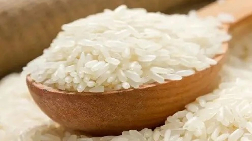 Camphor rice