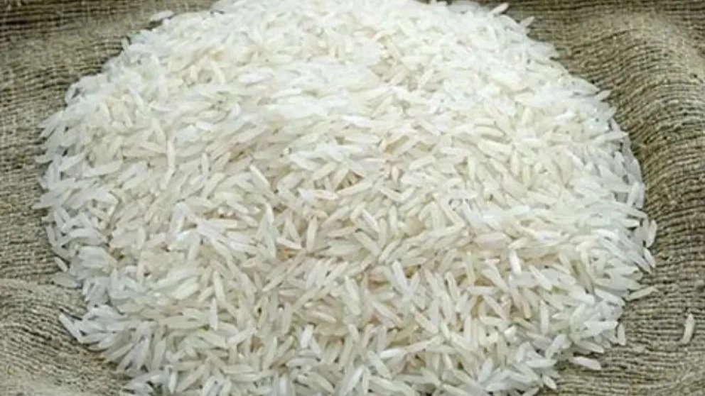 Azizi store, selling Tarem Shiroudi rice in Babolsar