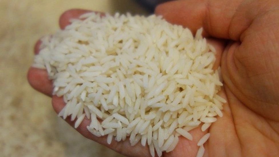 Methods of identifying high-quality Iranian rice