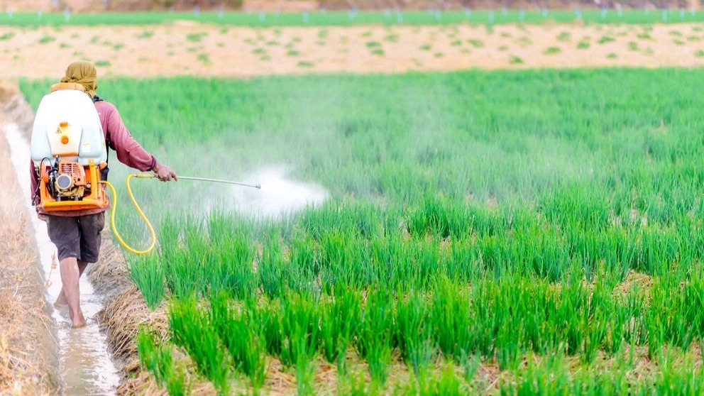 Ternas production, production and distribution of fertilizers and seeds in Shiraz