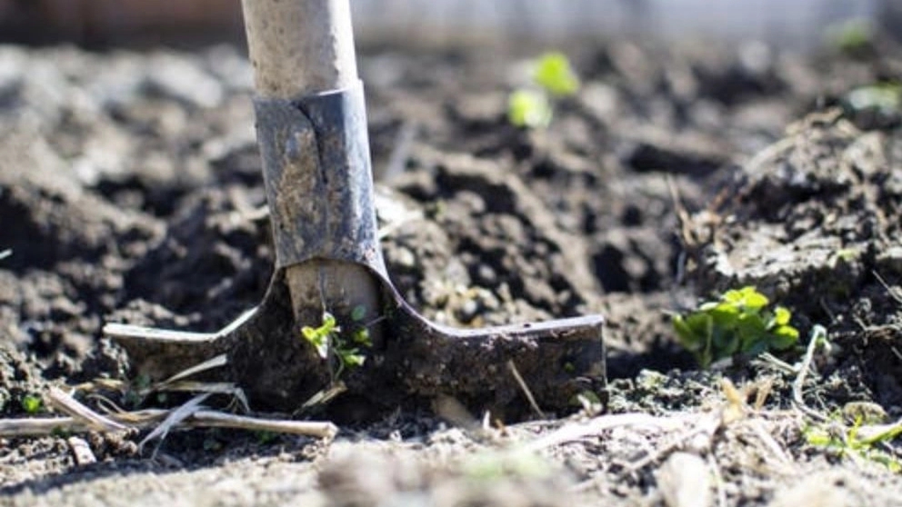 The need to use poisons and fertilizers for plants