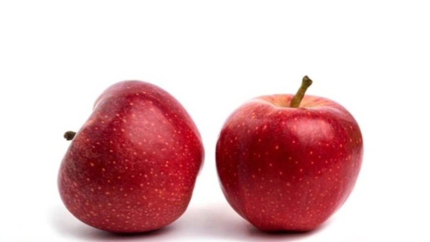 What are the properties of apples?