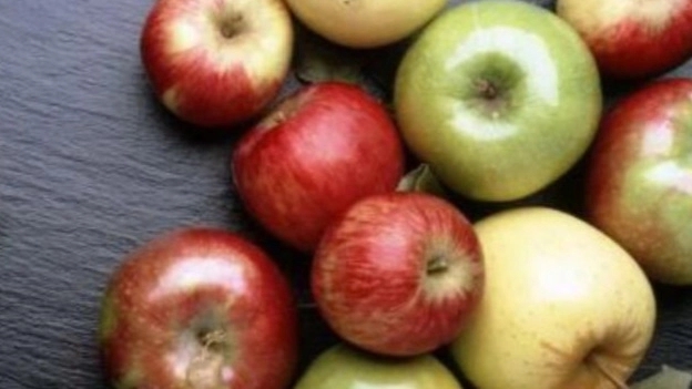 The difference in properties of red, yellow and green apples