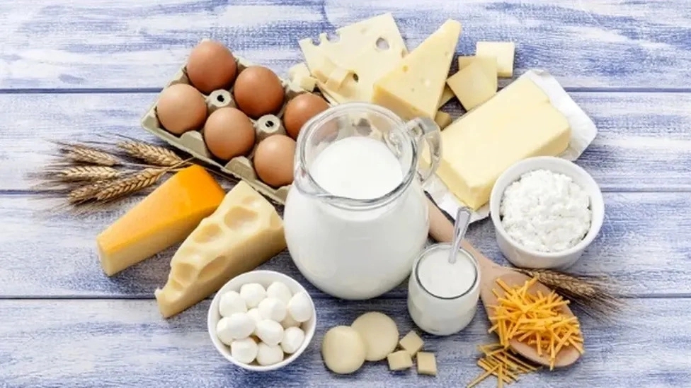 Dilam Dairy, sale and distribution of traditional dairy products in Rasht