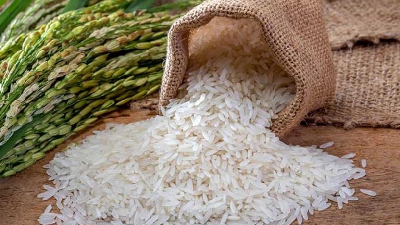 Features and characteristics of Fajr rice
